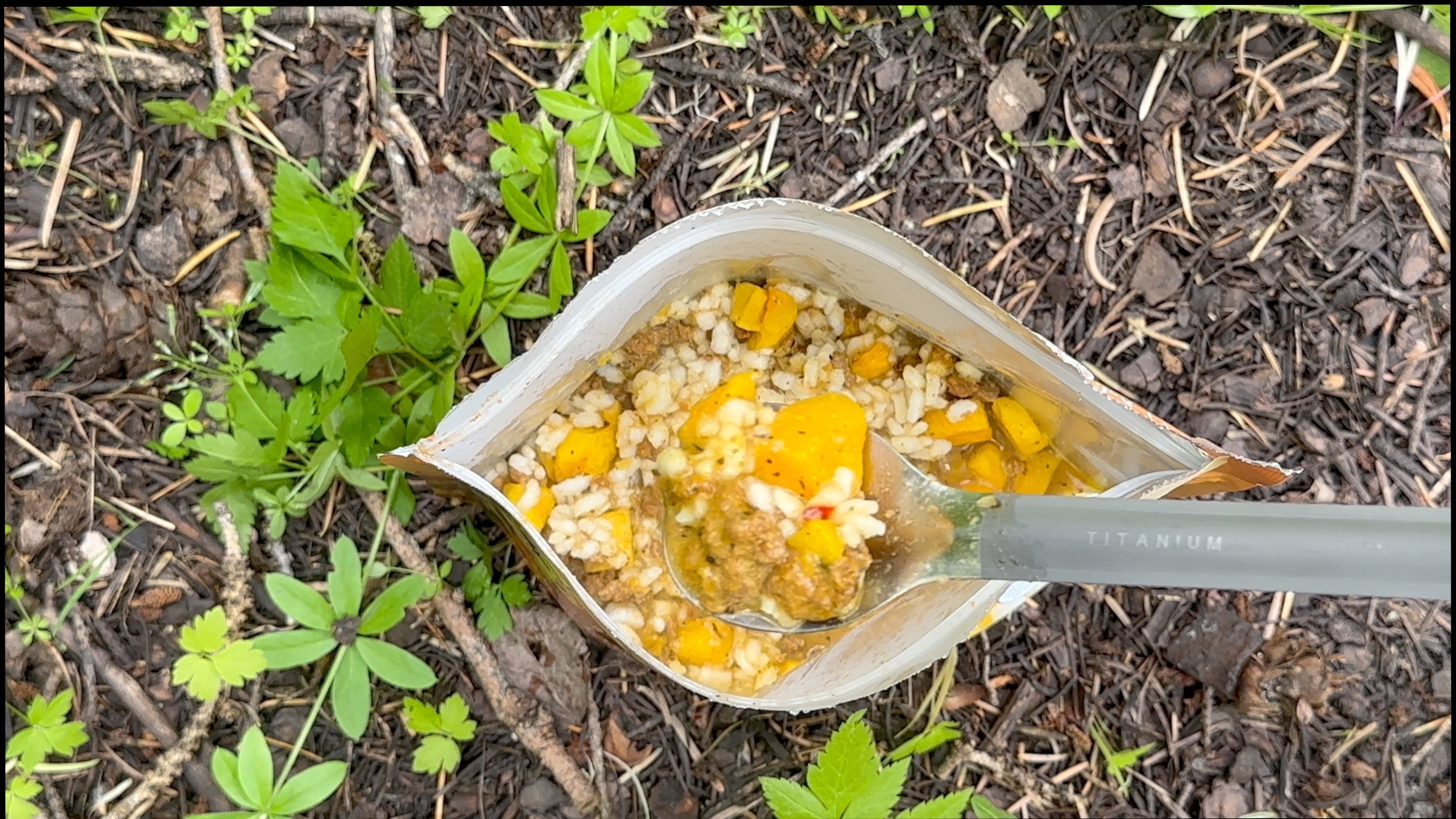 Spicy Italian Pork Sausage Risotto Meal