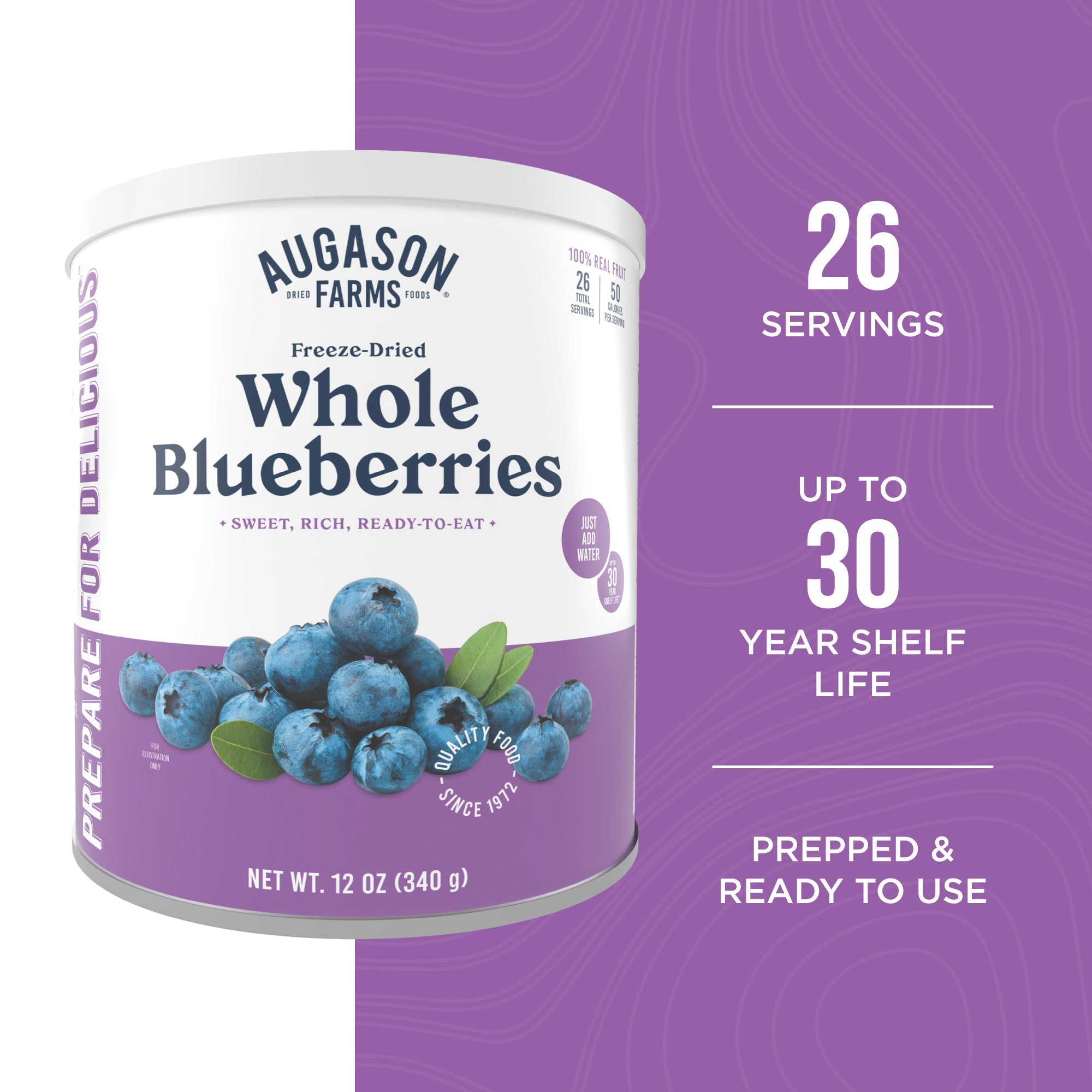 Freeze Dried Whole Blueberries Can, 26 Servings