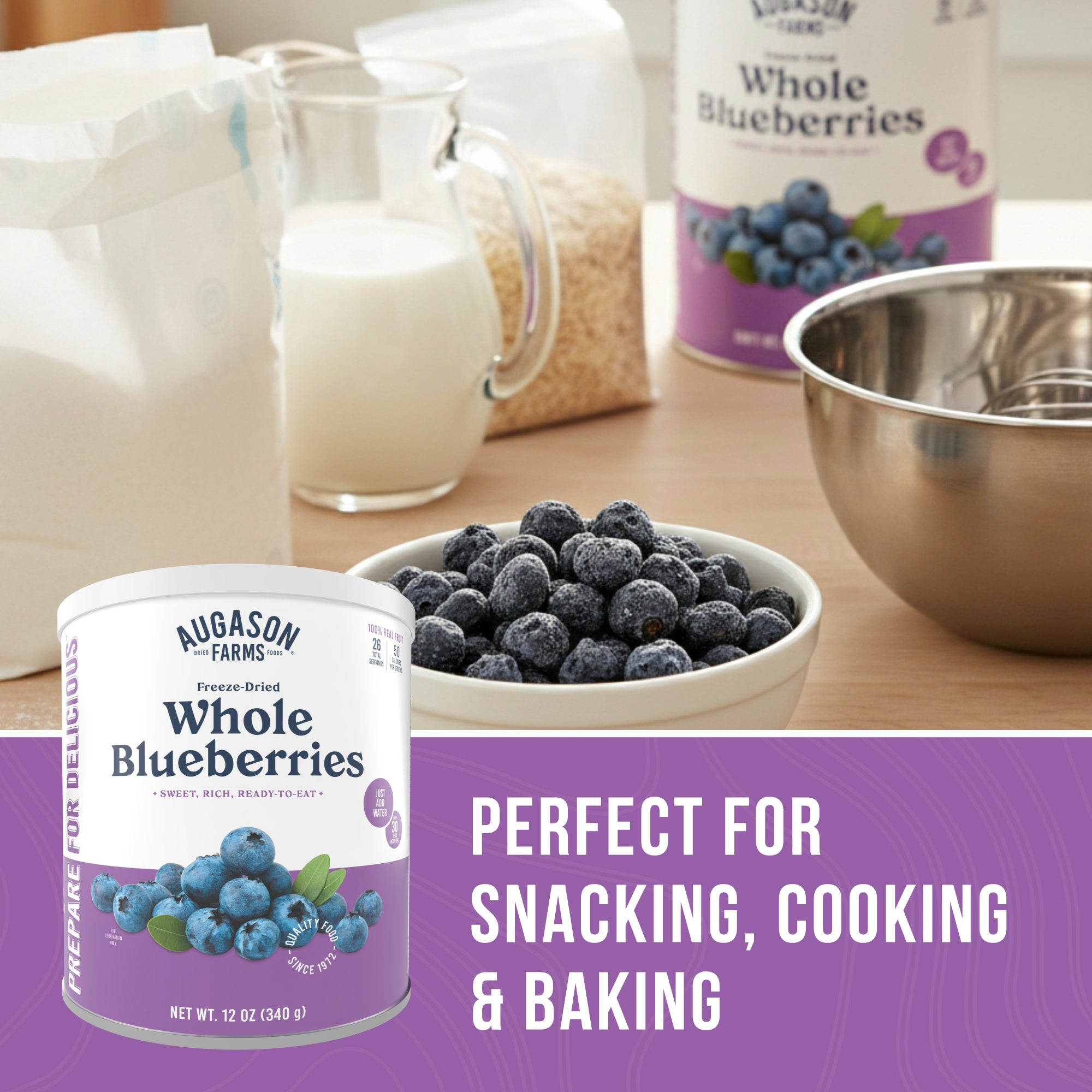 Freeze Dried Whole Blueberries Can, 26 Servings