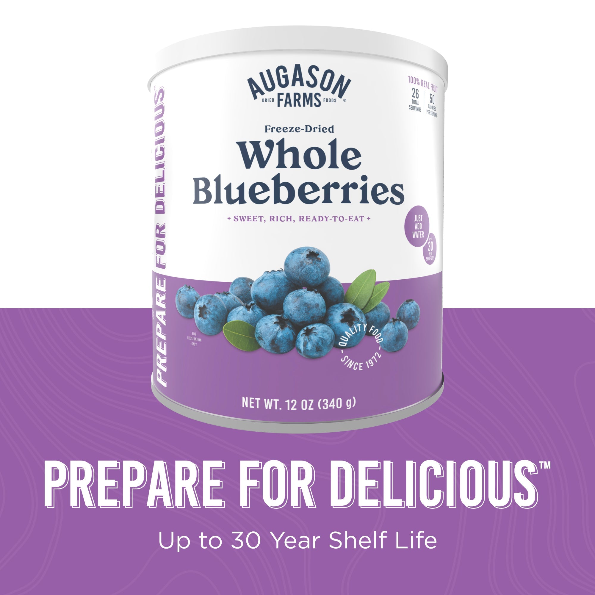 Freeze Dried Whole Blueberries Can, 26 Servings