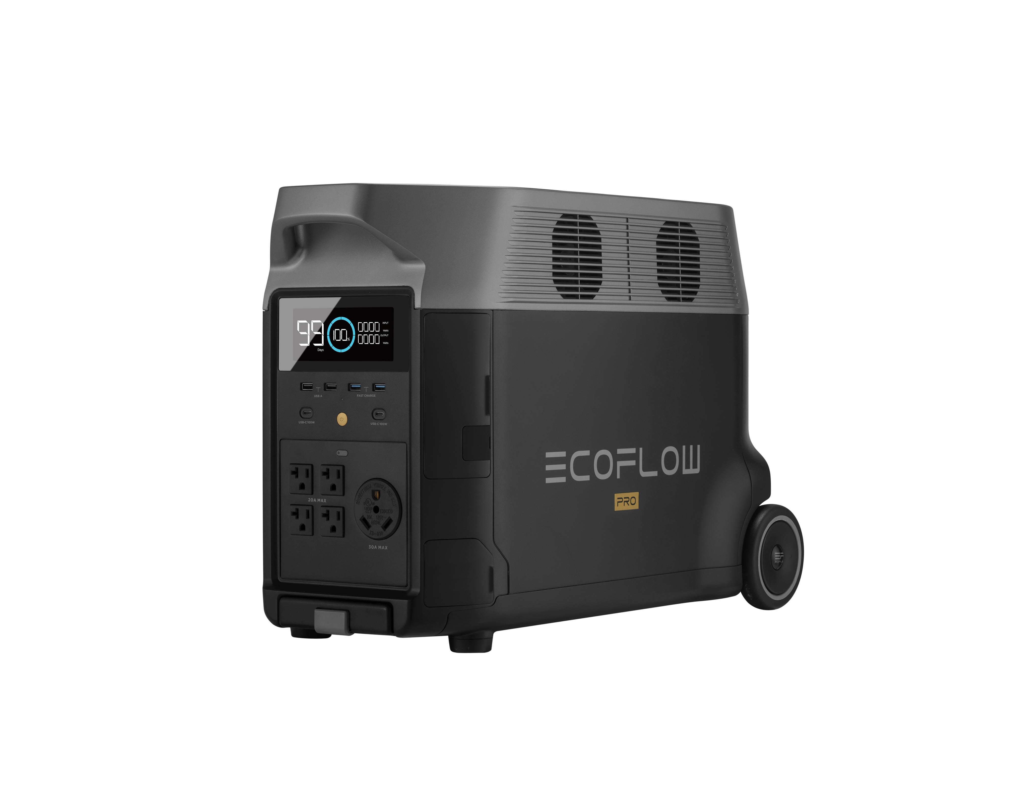 EcoFlow DELTA Pro Battery Packages