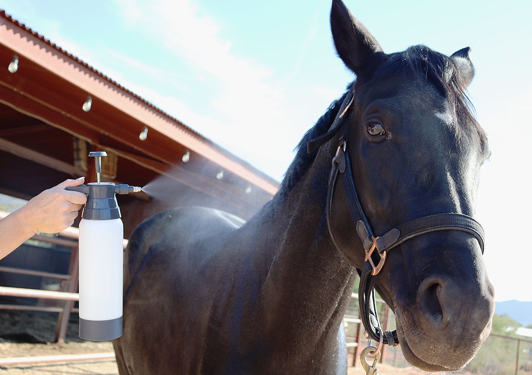 Equine Spray Bottle – Continuous Fine Mist Horse Sprayer for Fly Spray, Grooming & Stable Care