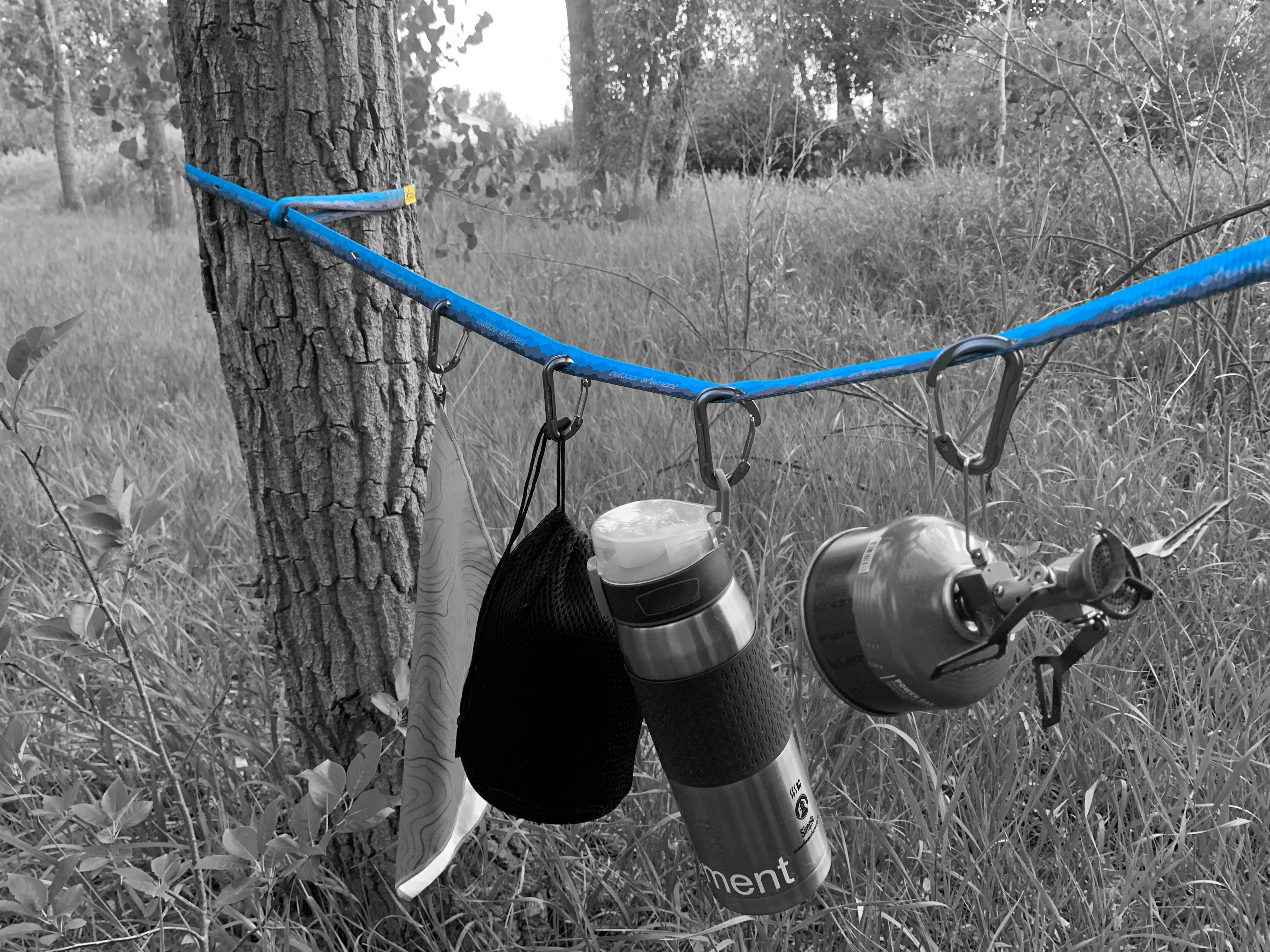 Charlotte's Webbing Camp Organizer