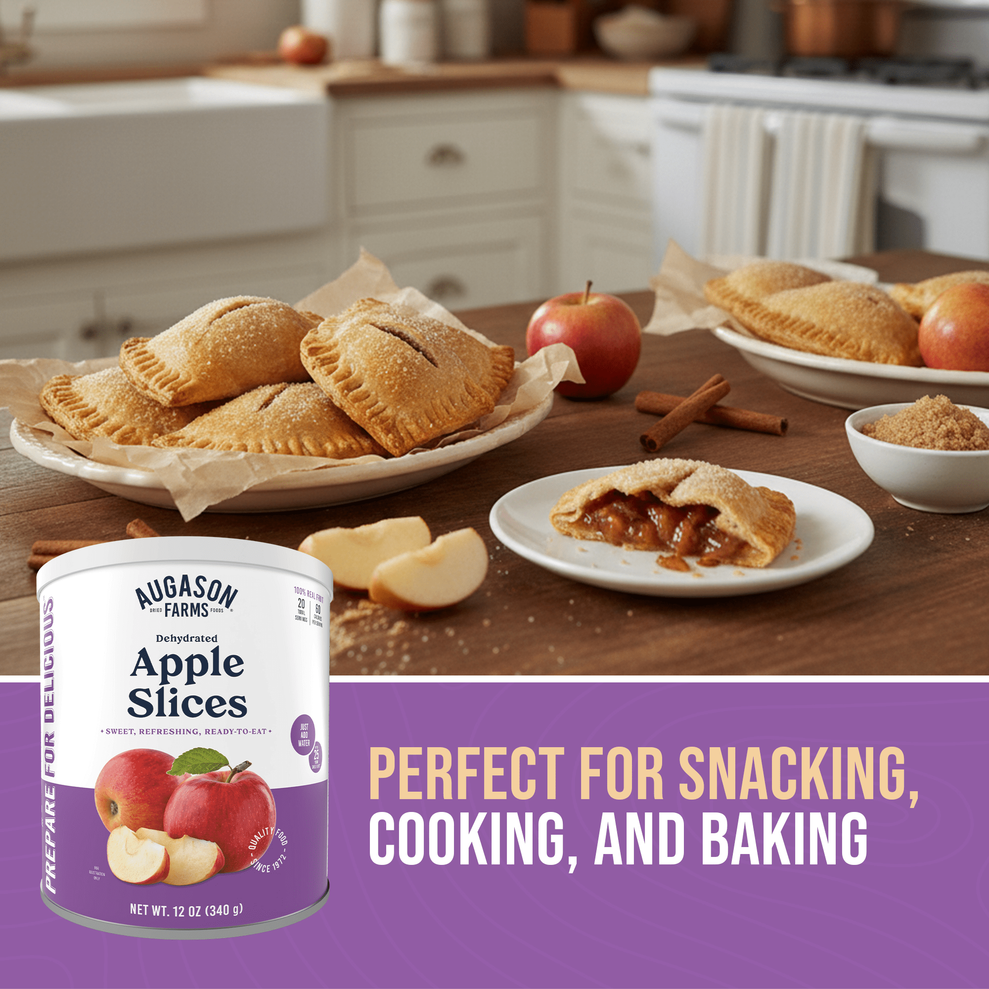 Dehydrated Apple Slices Can, 20 Servings