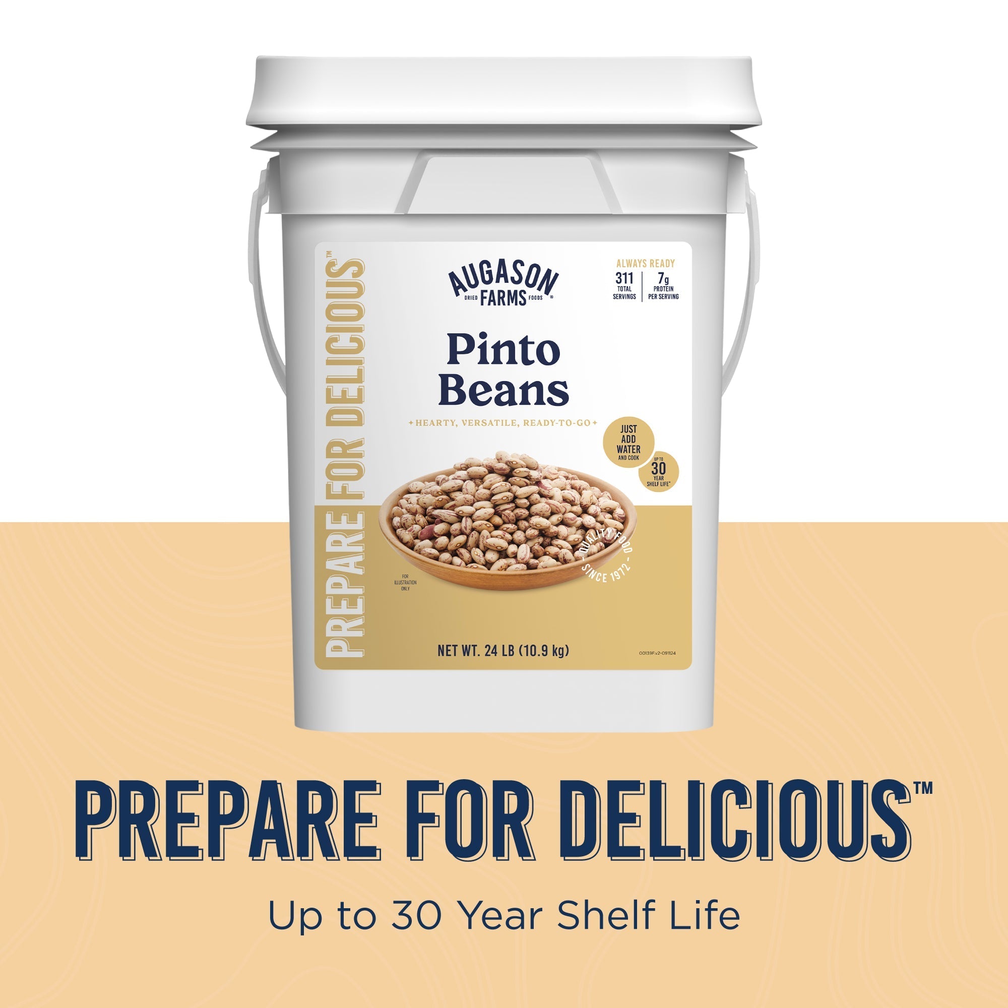 Dried Pinto Beans 4 Gallon Pail, 311 Servings