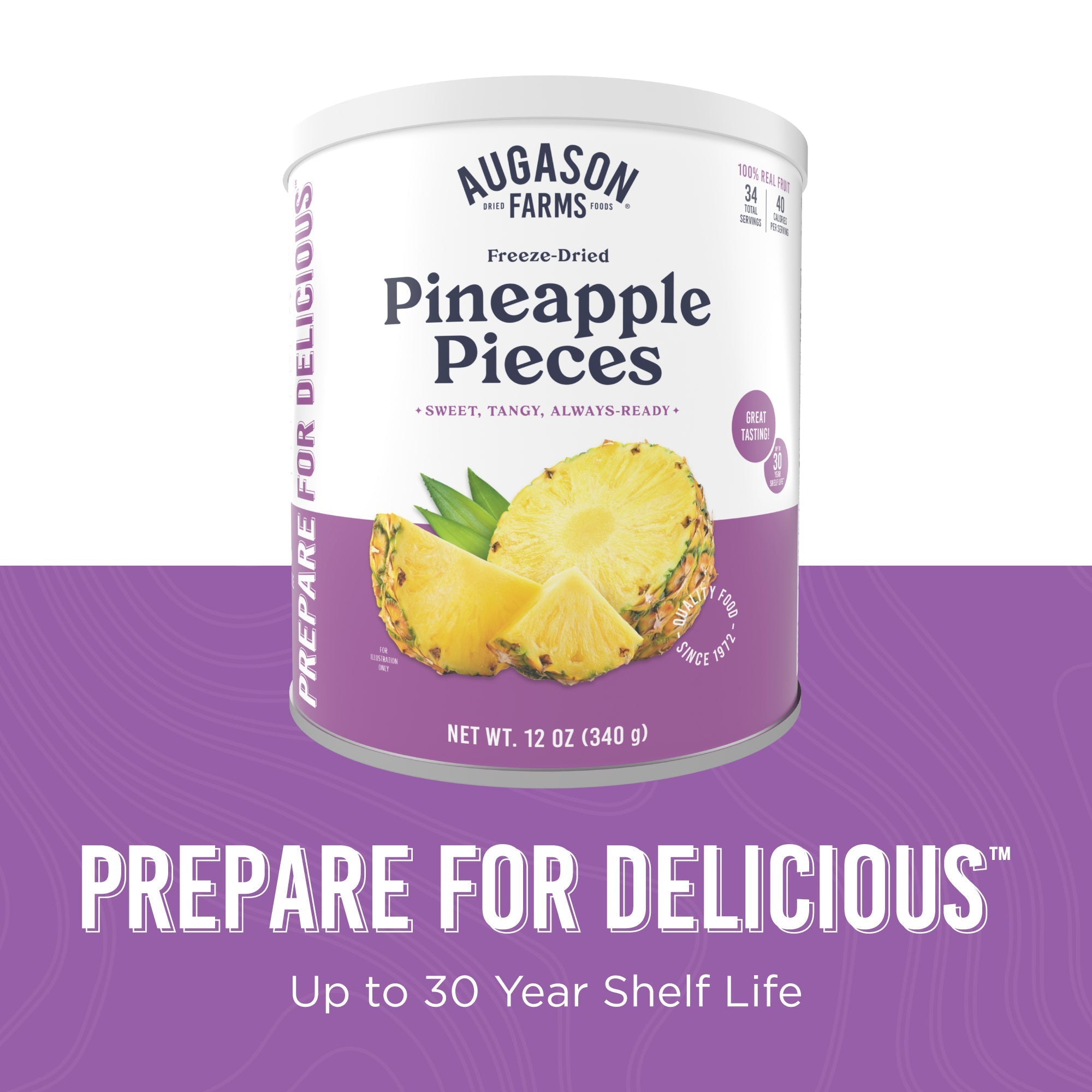 Freeze Dried Pineapple Pieces Can, 34 Servings
