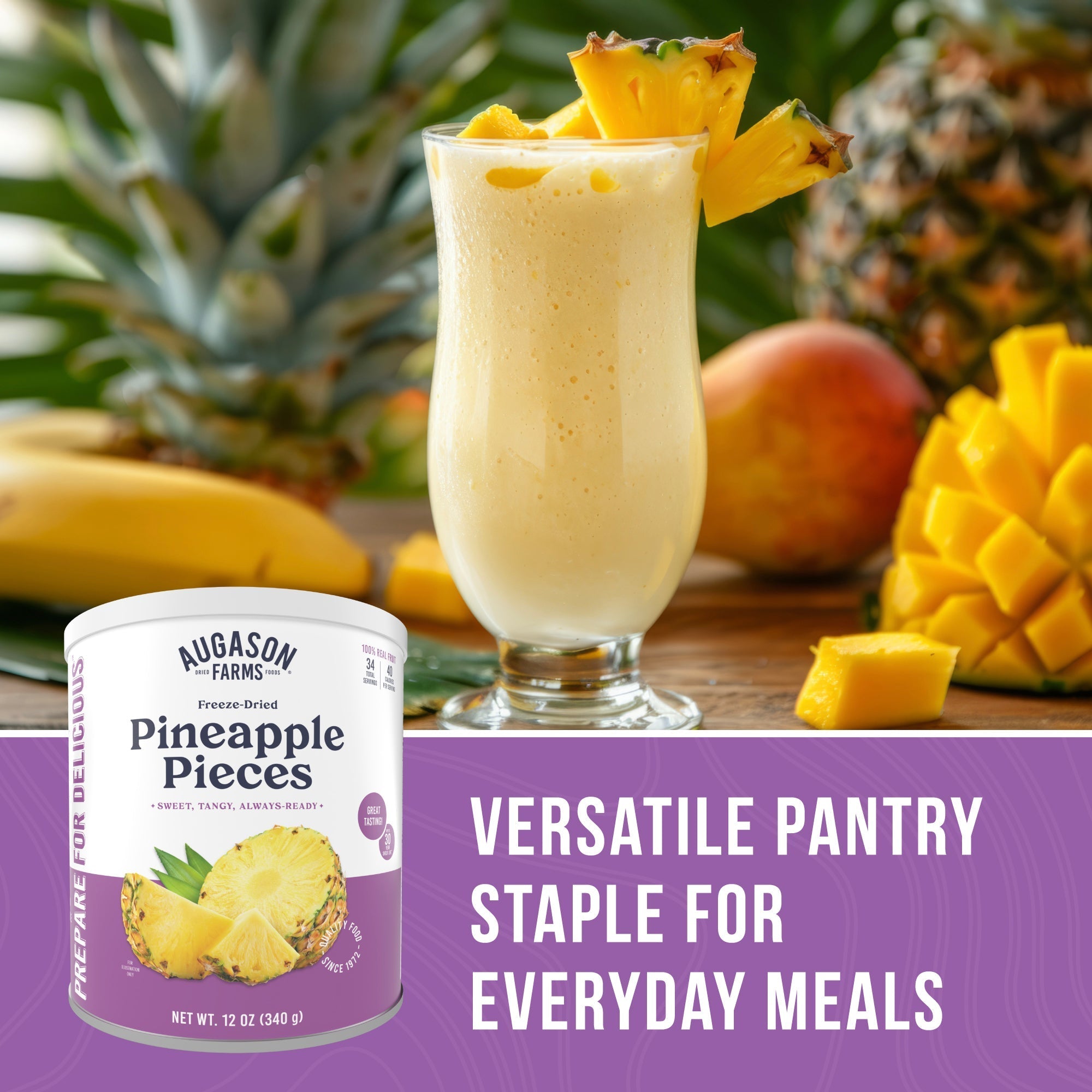 Freeze Dried Pineapple Pieces Can, 34 Servings