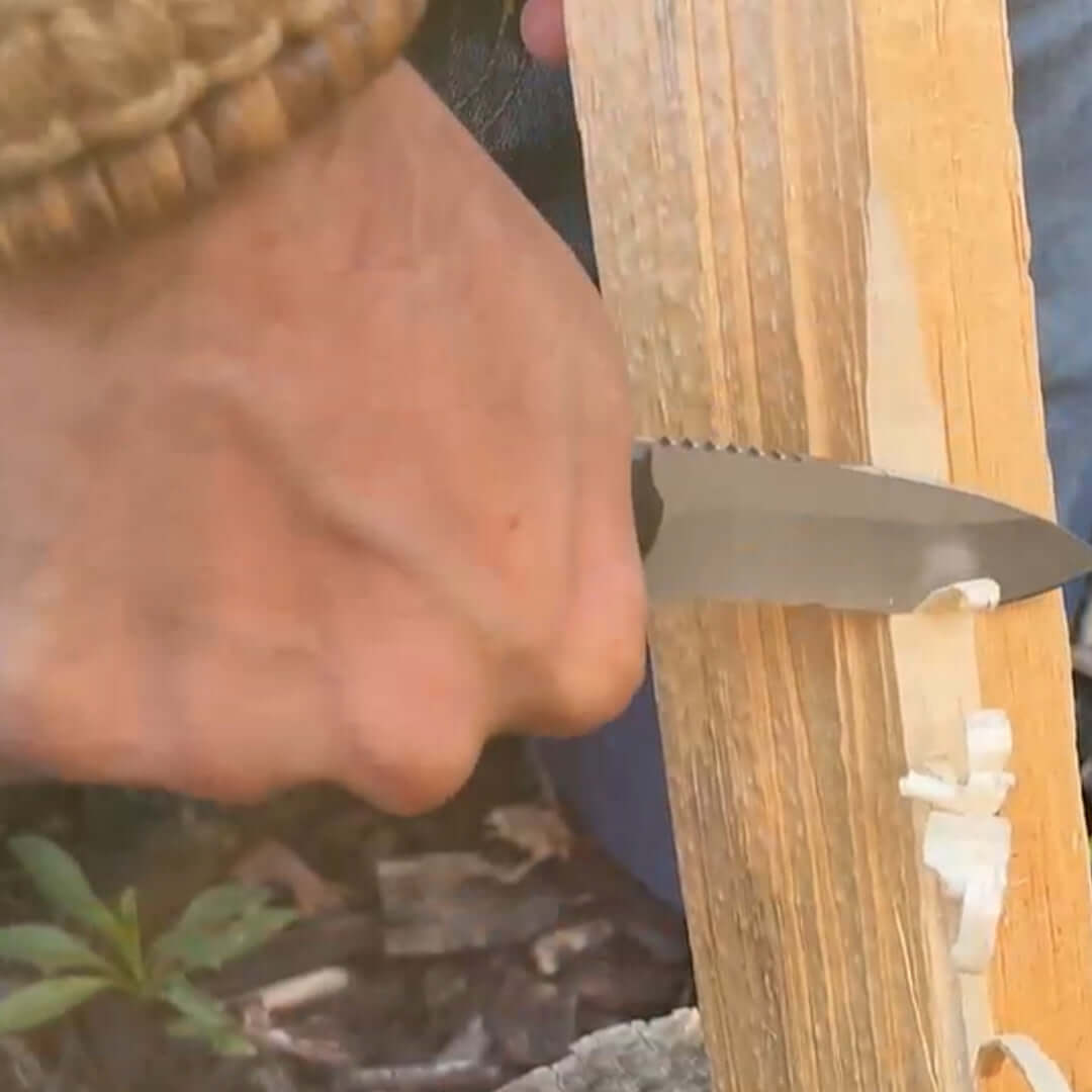 Quick Feather Folding Knife